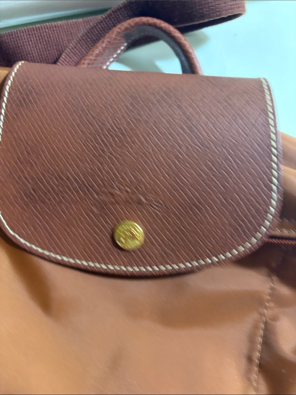 Longchamp Le Pliage Backpack in Rust - Picture 3 of 8